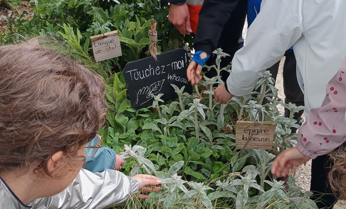 Jardin des plantes - programme éducatif 2