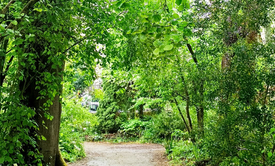 Jardin des plantes - programme éducatif 5