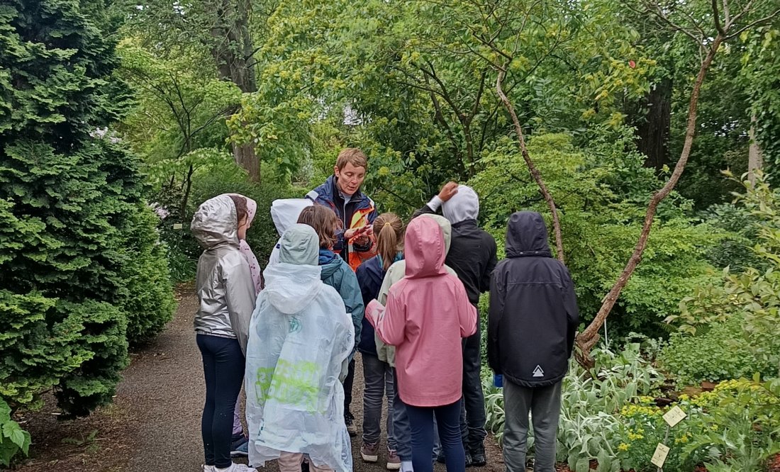 Jardin des plantes - programme éducatif 3