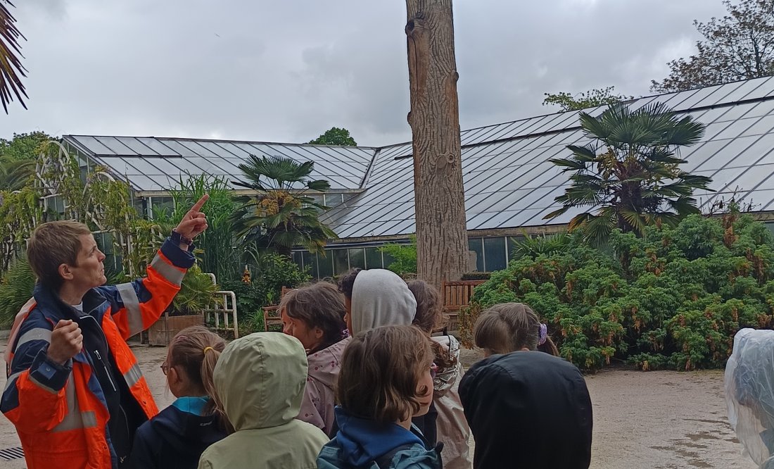 Jardin des plantes - programme éducatif 4