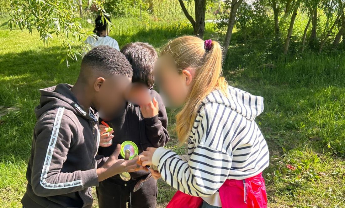 jardin pédagogique ©Ecole Jean Boisard (2)