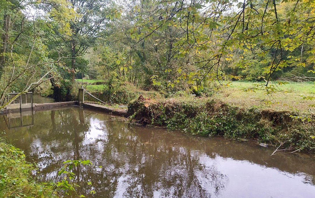 Le moulin de Taillebosq avant