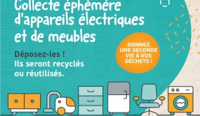 Collectes éphémères 2022