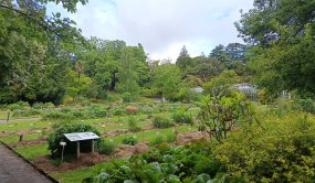 Jardin des plantes - programme éducatif
